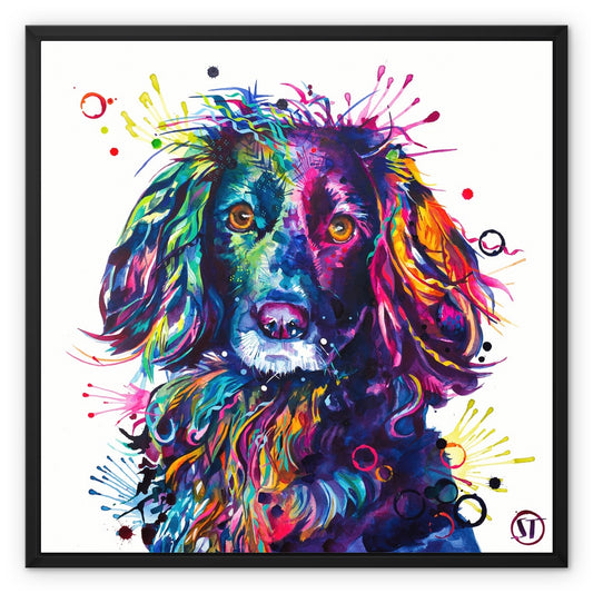 Loki the Cocker Spaniel Framed Canvas