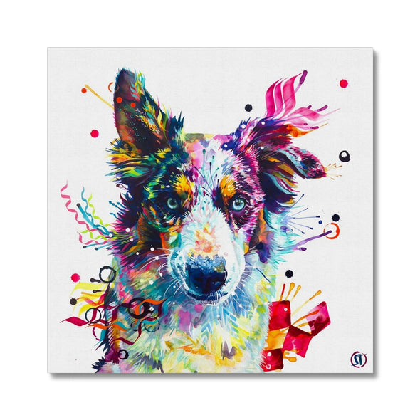 Loki the Border Collie Canvas Sarah Taylor Art