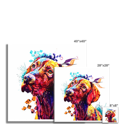 Troy the Vizsla Fine Art Print