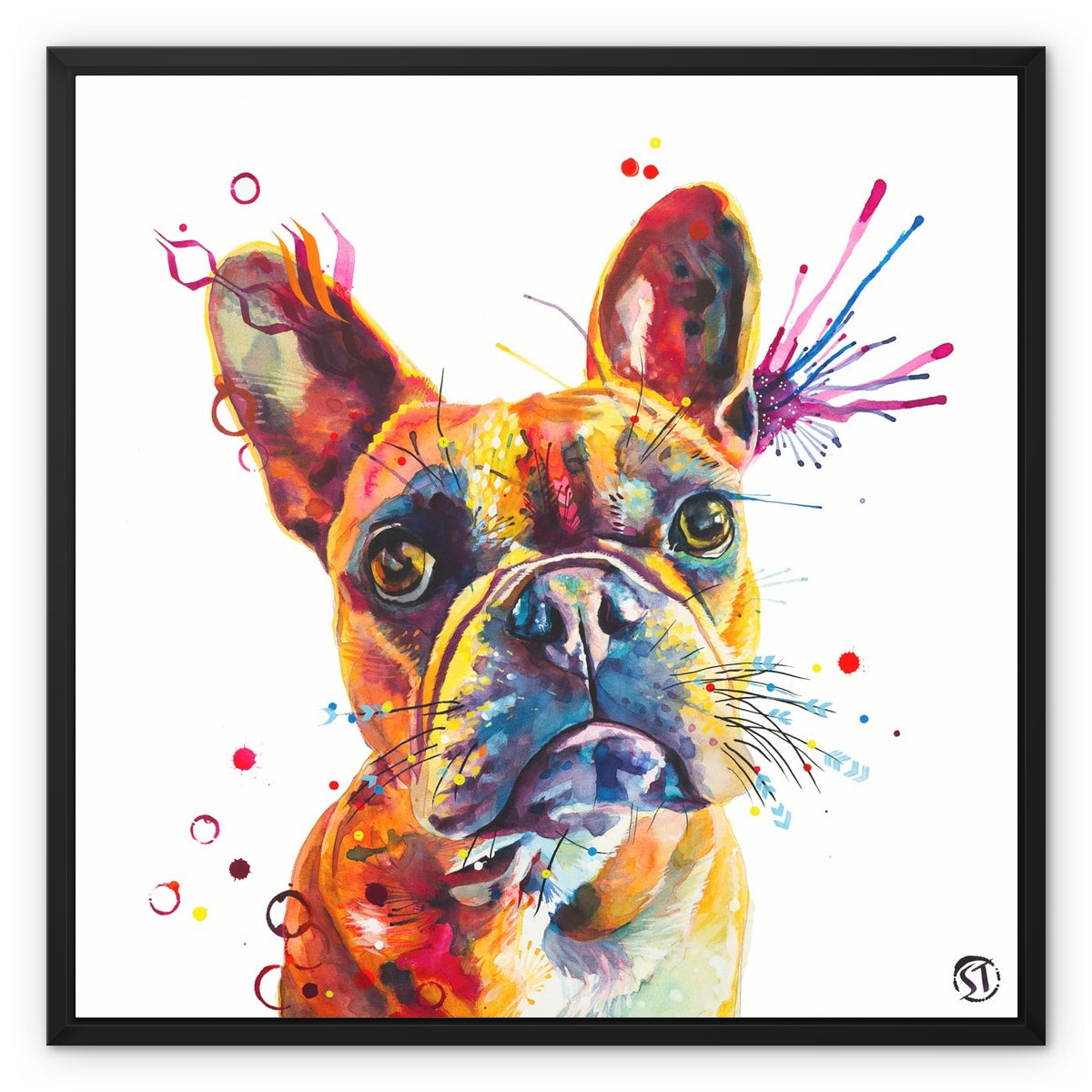 Stella the Frenchie (French Bulldog) Framed Canvas