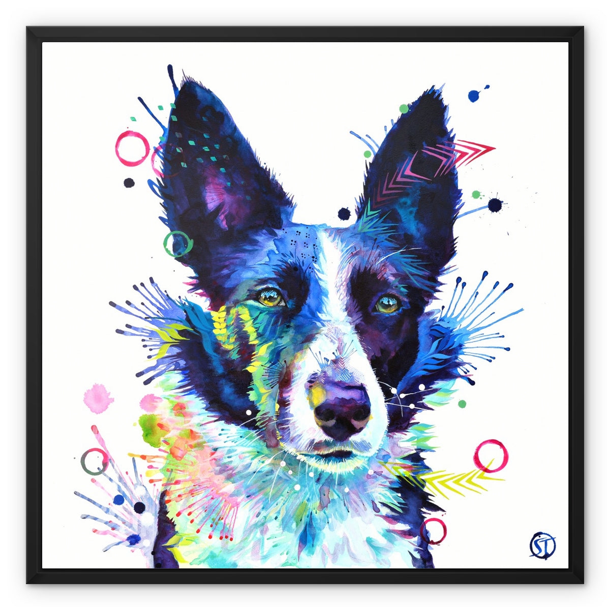 Jess the Border Collie Framed Canvas