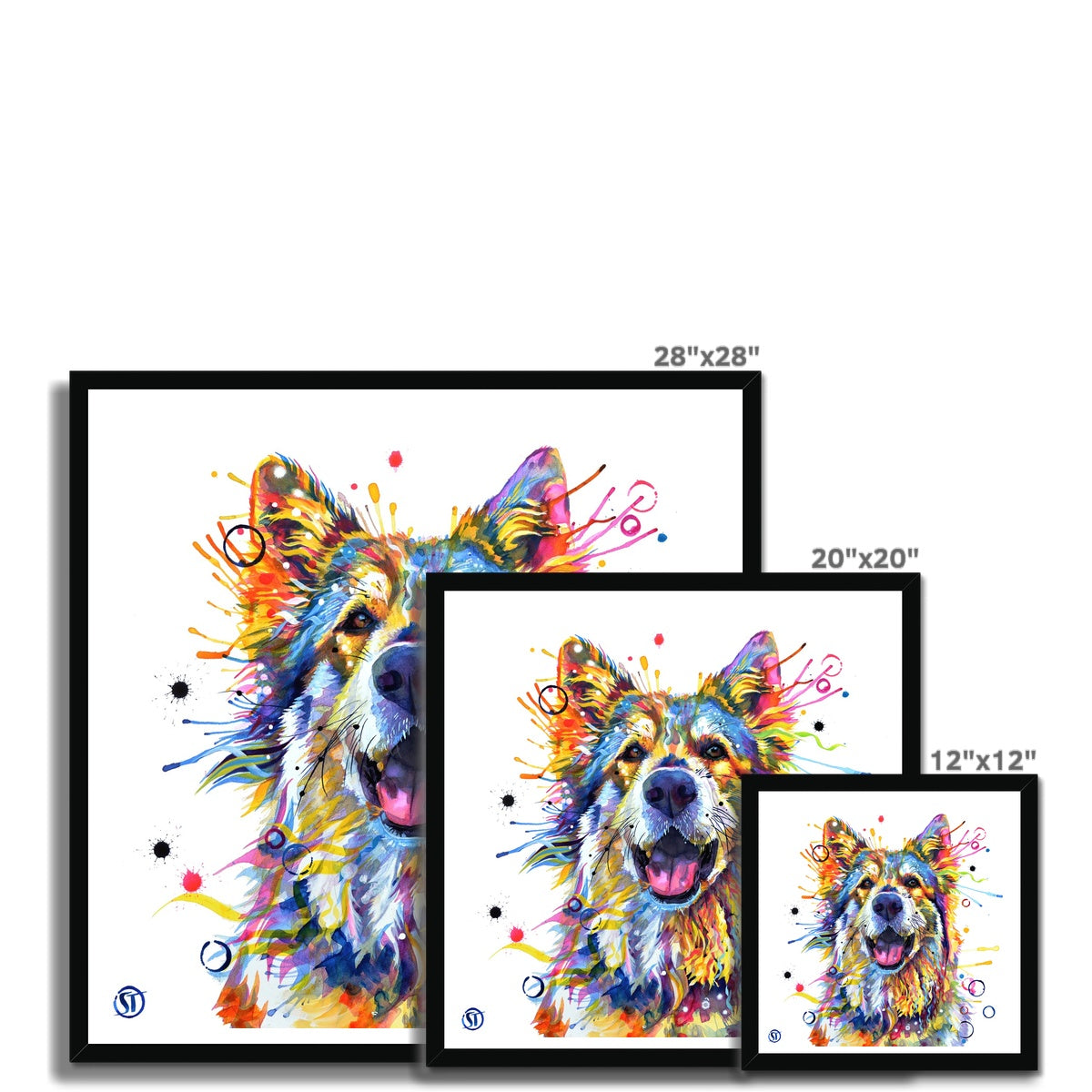 Teddy the German Shepherd Framed Print