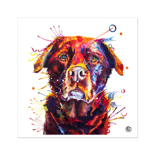 Rosey the Chocolate Labrador Fine Art Print