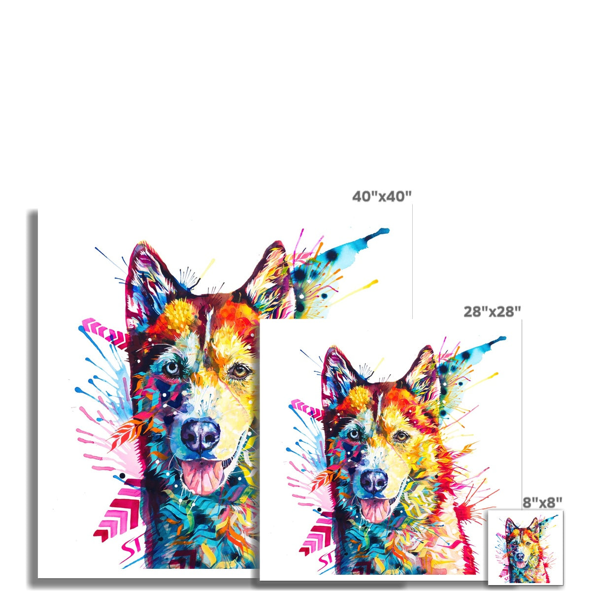 Luna the Husky Fine Art Print