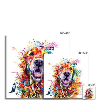 Monty the Golden Retriever  Fine Art Print