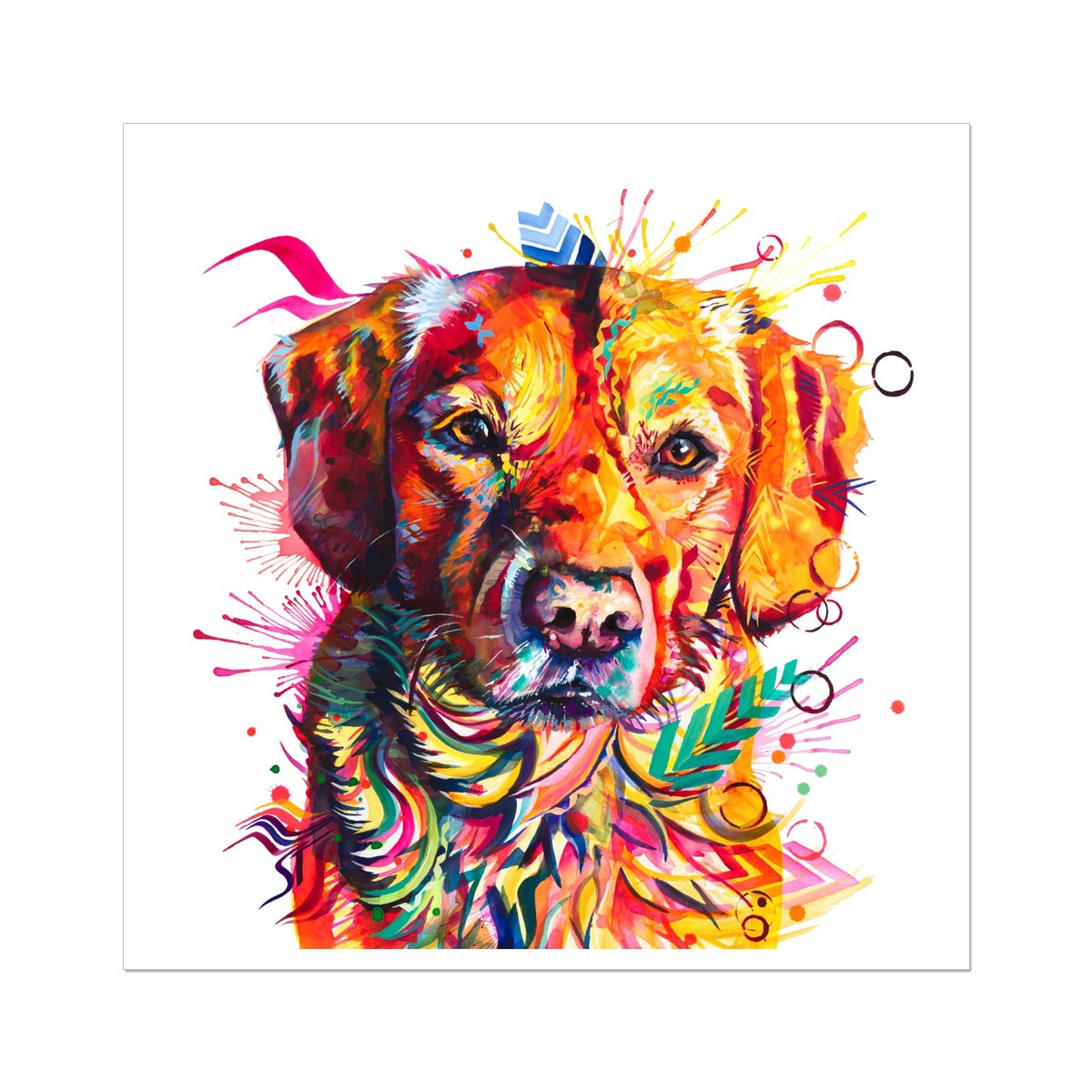 Brodie the Labrador Fine Art Print