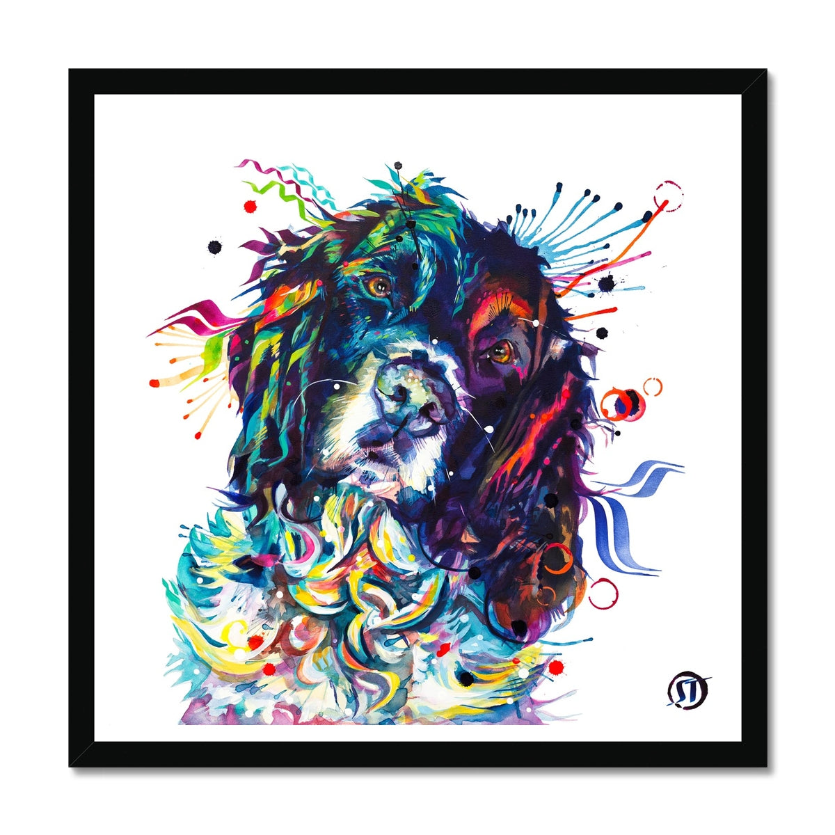 Thorin the Springer Spaniel Framed Print