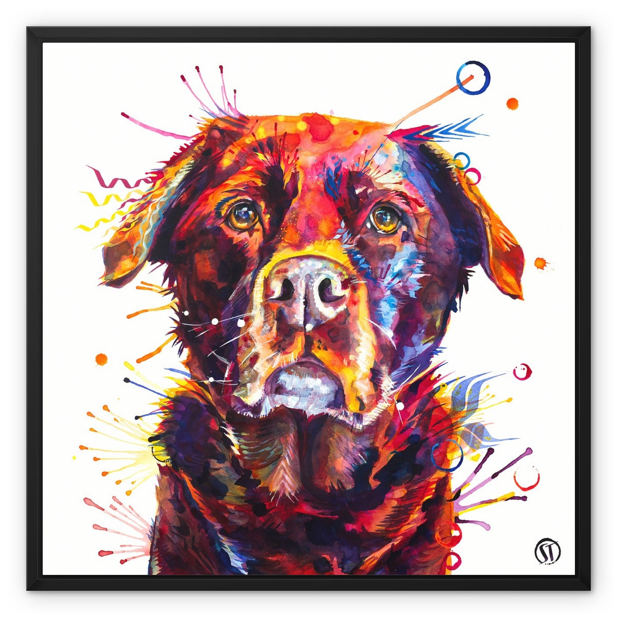 Rosey the Chocolate Labrador Framed Canvas