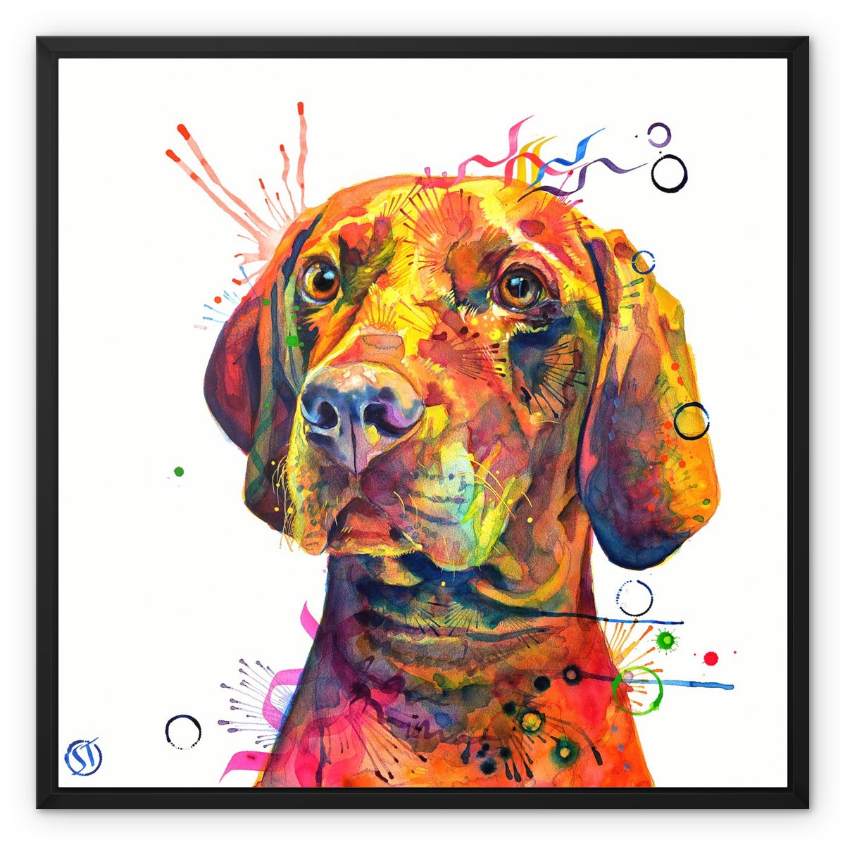 Shilo the Vizsla Framed Canvas