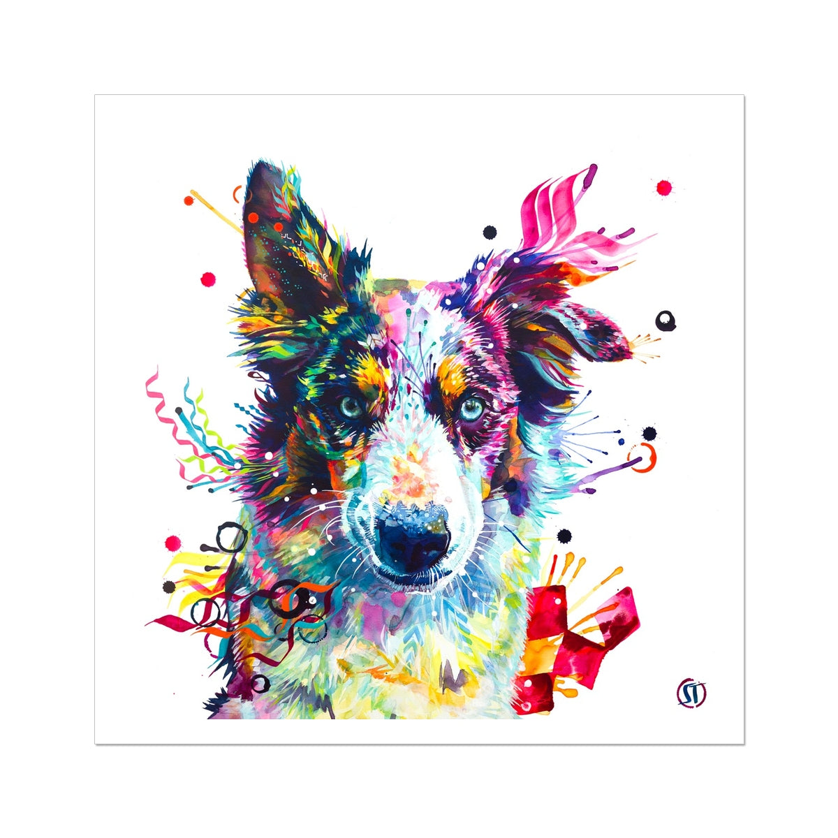 Loki the Border Collie Fine Art Print