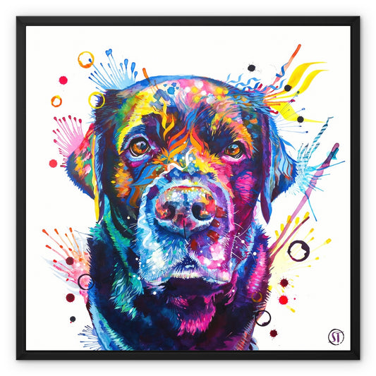 Beckett the Black Lab Framed Canvas