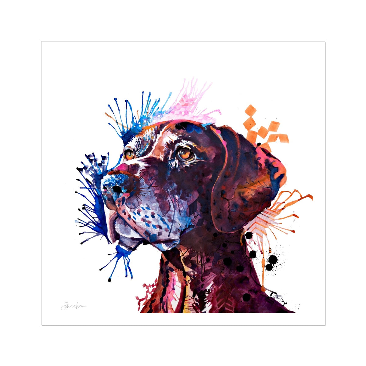 Percy the German Short-haired Pointer Fine Art Print