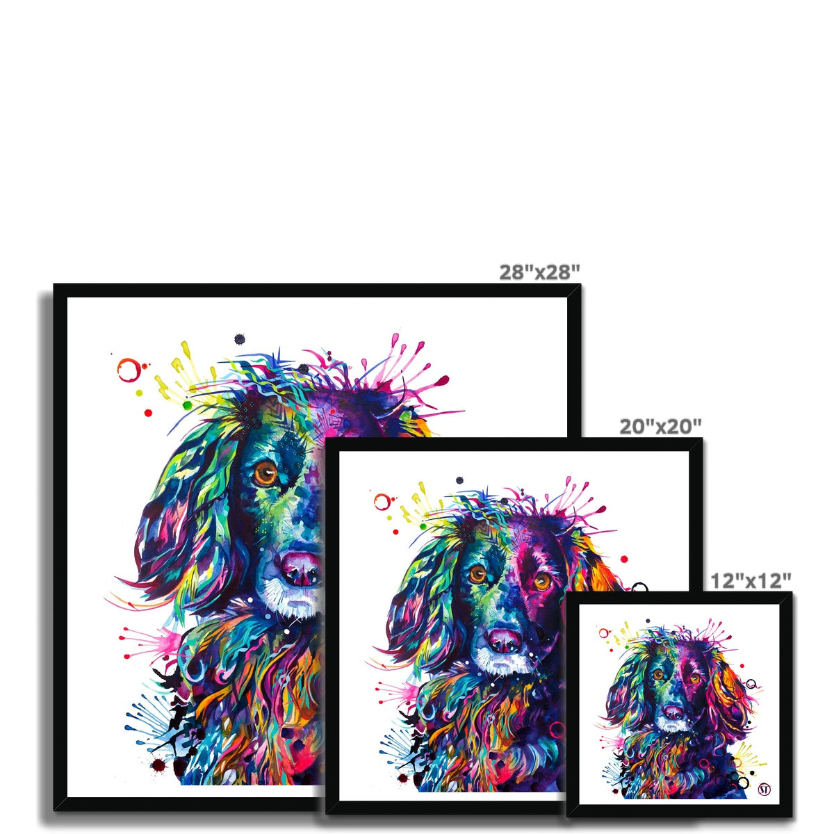 Loki the Cocker Spaniel Framed Print