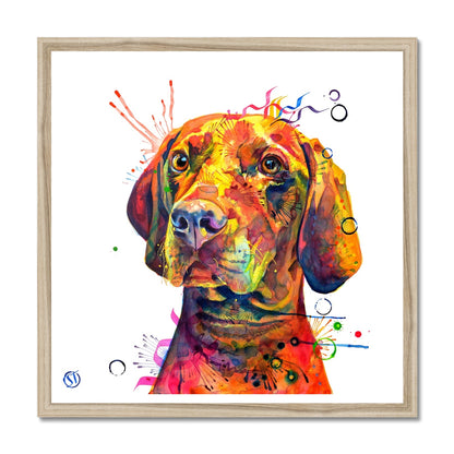 Shilo the Vizsla Framed Print