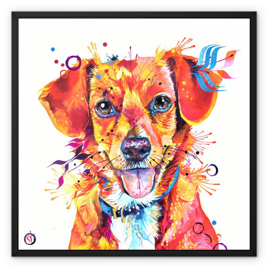 Dora the Beagle Terrier Mix Framed Canvas