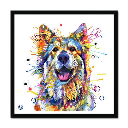 Teddy the German Shepherd Framed Print