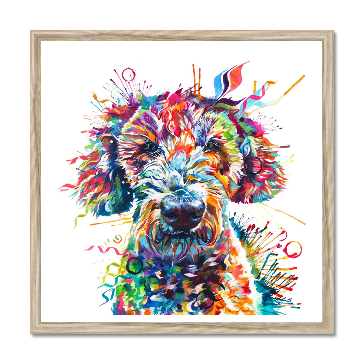 Colourful framed Labradoodle wall art print featuring Basil the Labradoodle in vibrant pink, orange, blue, and rainbow tones by Sarah Taylor Art. Natural wood frame.