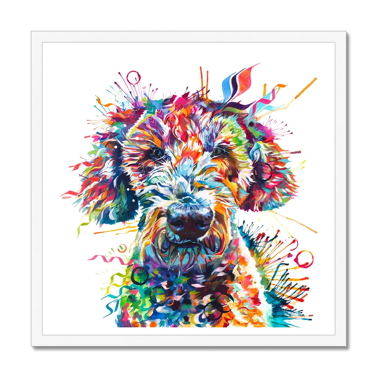 Colourful framed Labradoodle wall art print featuring Basil the Labradoodle in vibrant pink, orange, blue, and rainbow tones by Sarah Taylor Art. White frame.