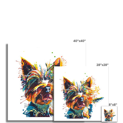 Edward the Yorkie Fine Art Print