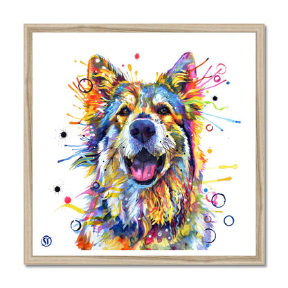 Teddy the German Shepherd Framed Print