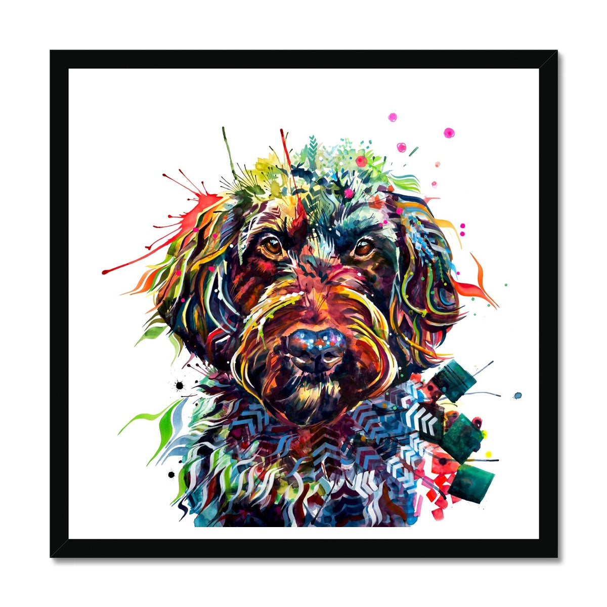 Ben the Labradoodle Framed Print