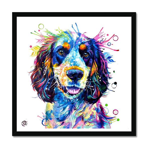 Tazz the Cocker Spaniel Framed Print