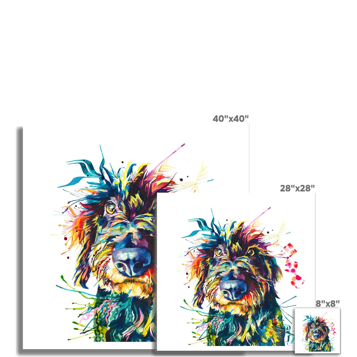 Eddie the Wirehaired Dachshund Fine Art Print