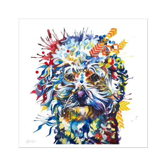 Bear the Bichon Frise Fine Art Print