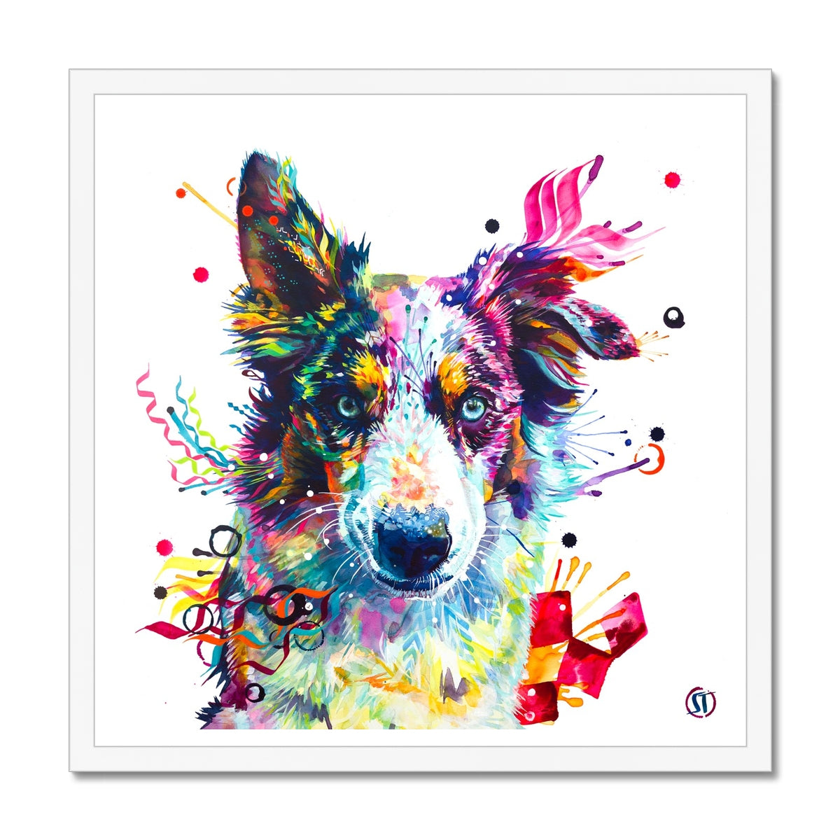 Loki the Border Collie Framed Print