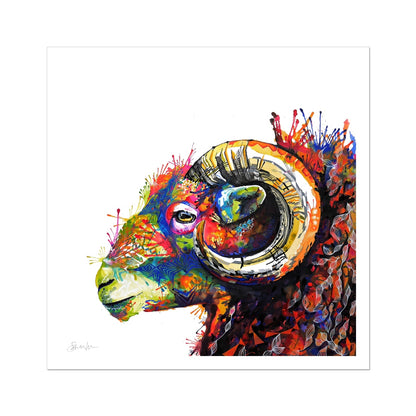 King Arthur the Herdwick Ram Fine Art Print