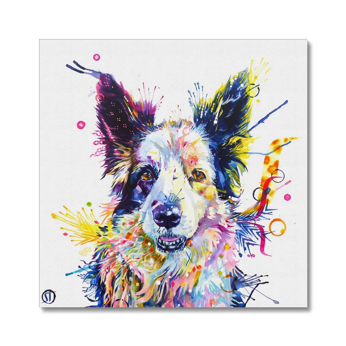 Colourful Border Collie canvas, Poppy, with blue, violet, pink and yellow paint splashes by Sarah Taylor Art