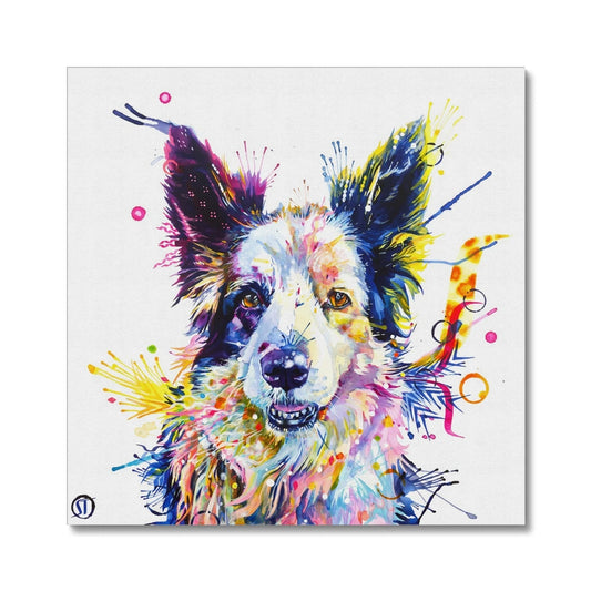Colourful Border Collie canvas, Poppy, with blue, violet, pink and yellow paint splashes by Sarah Taylor Art