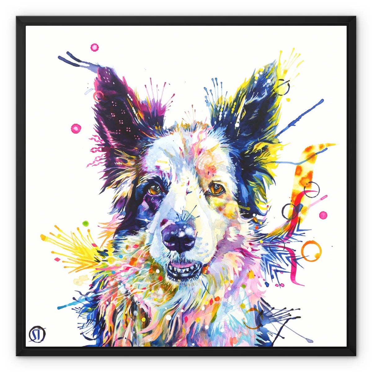 Colourful Border Collie framed canvas, Poppy, in a black floating frame by Sarah Taylor Art