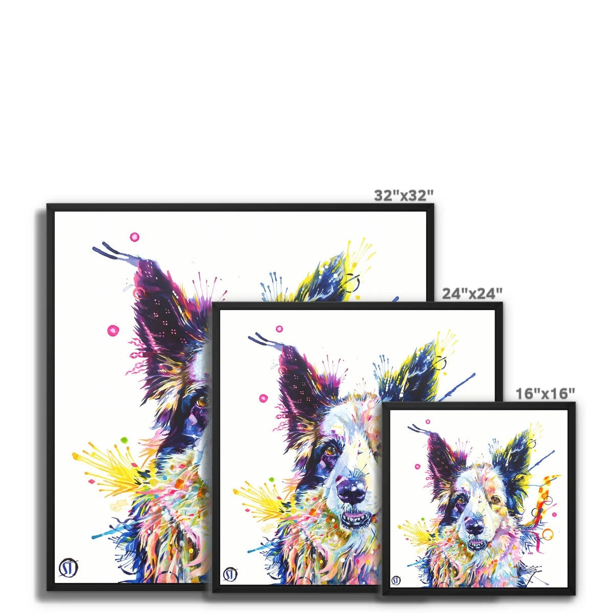 Colourful Border Collie framed canvas, Poppy, in a black floating frame by Sarah Taylor Art