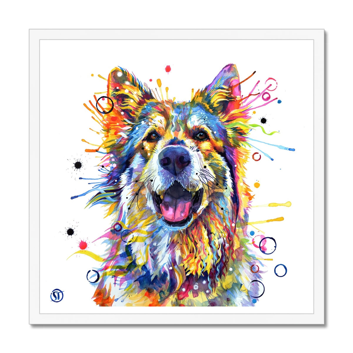 Teddy the German Shepherd Framed Print