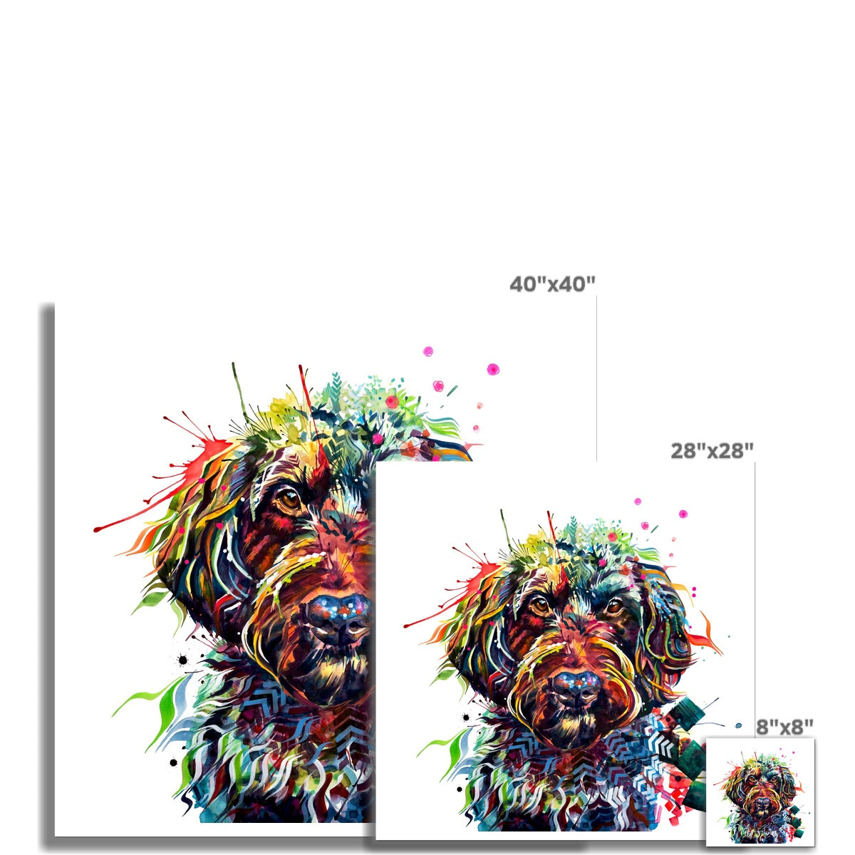 Ben the Labradoodle Fine Art Print