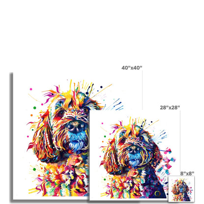 Barney the Cockapoo Fine Art Print