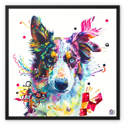 Loki the Border Collie Framed Canvas