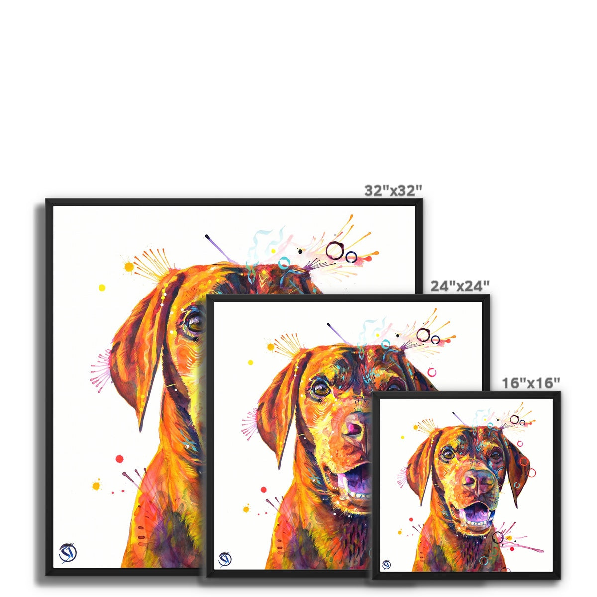 Freo the Vizsla Framed Canvas