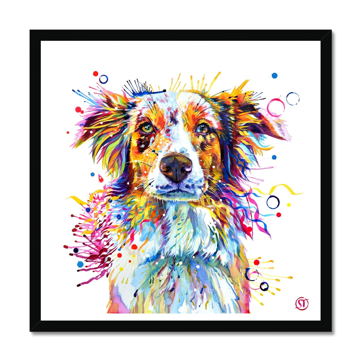 Mabel the Collie Framed Print