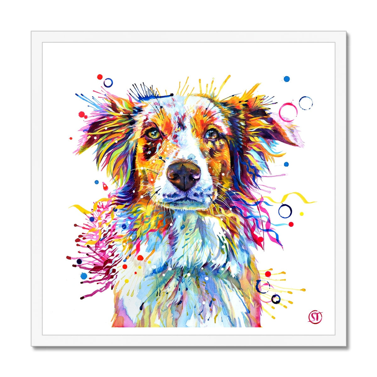 Mabel the Collie Framed Print