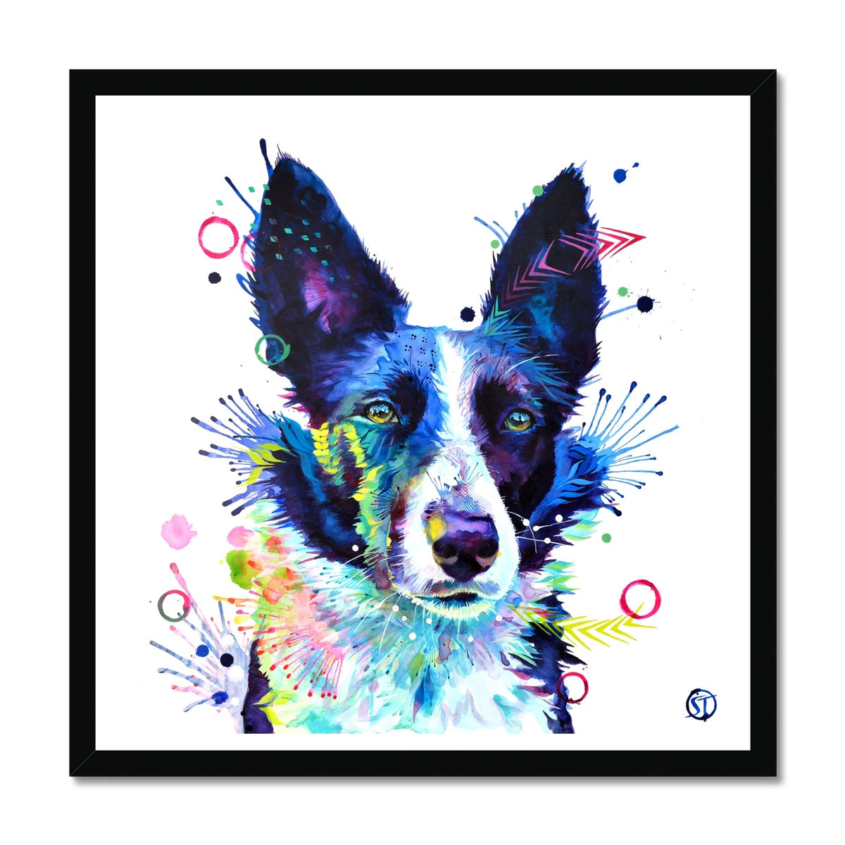 Jess the Border Collie Framed Print