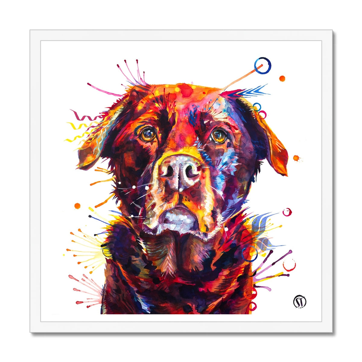 Rosey the Chocolate Labrador Framed Print