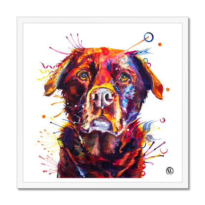 Rosey the Chocolate Labrador Framed Print