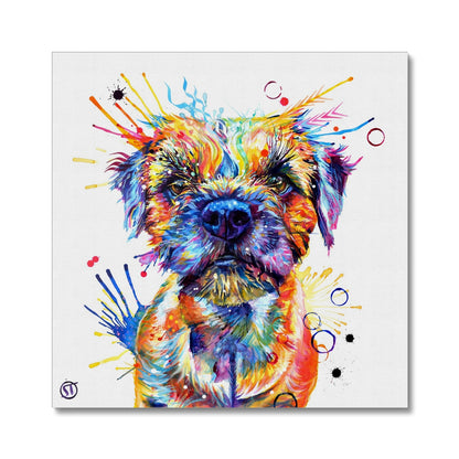 Allan the Border Terrier Canvas