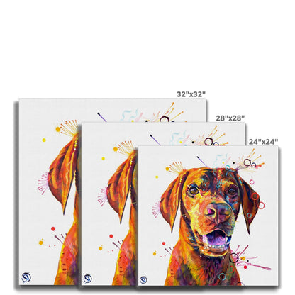 Freo the Vizsla Canvas