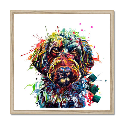 Ben the Labradoodle Framed Print