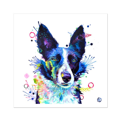 Jess the Border Collie Fine Art Print