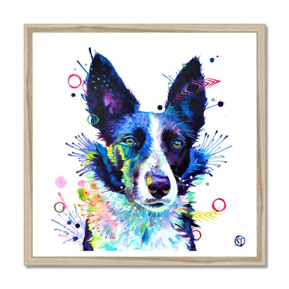 Jess the Border Collie Framed Print