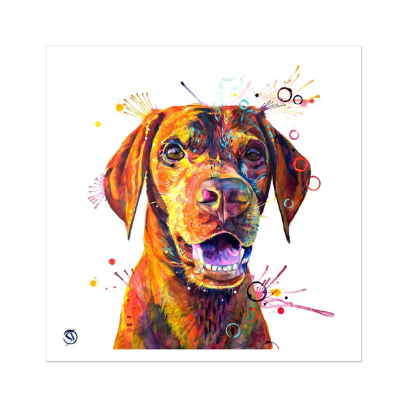 Freo the Vizsla Fine Art Print Sarah Taylor Art